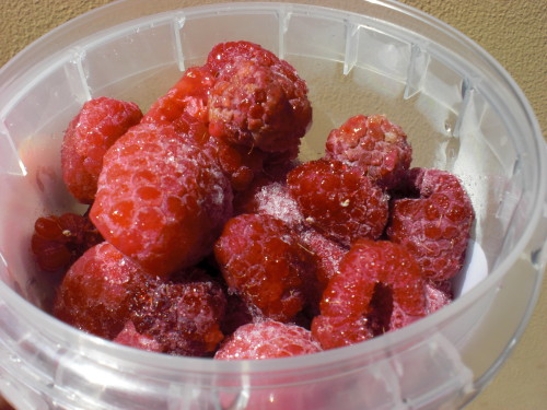 Frozen raspberries