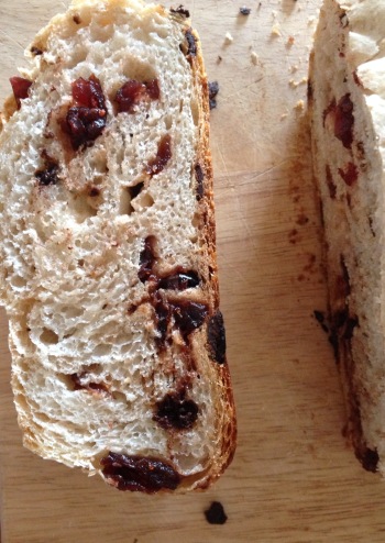 orange, cranberry, chocolate bread